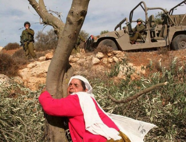palestinian-woman-2 by Letty Cottin Pogrebin